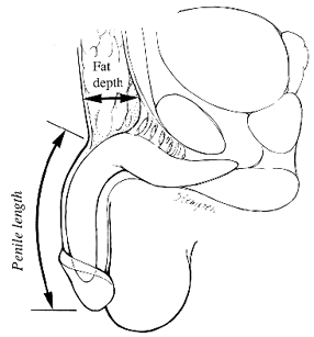 0612_image_1.gif 0612_image_1.gif